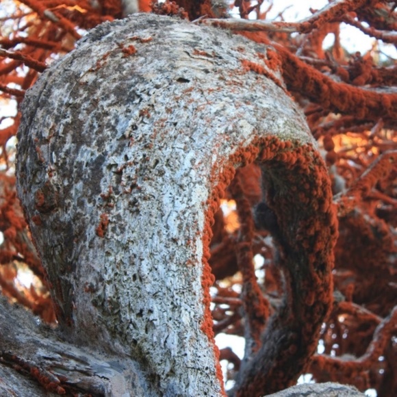 Meet your Posher, Kimberley - Picture 2 of 2